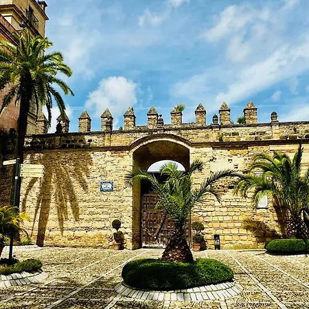 Nuevo-new Sherrylola Cathedral Jerez de la Frontera